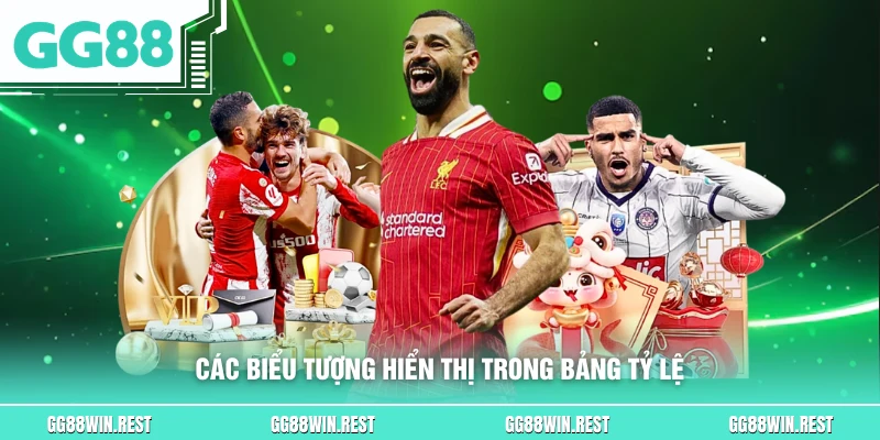 Các biểu tượng hiển thị trong bảng tỷ lệ